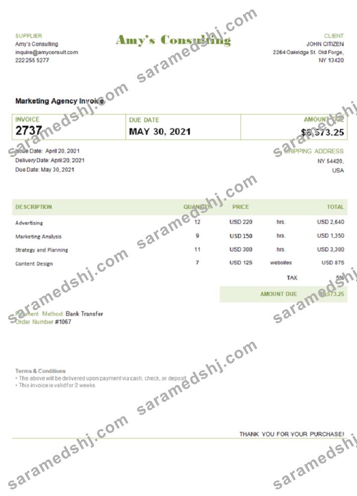 USA Amy’s Consulting invoice template